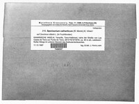 Image Associated With the Occurrence